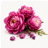Floral Essential Oils