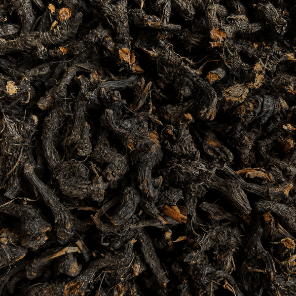 Nagarmotha / Cypriol Essential Oil - Cyprus Scariosus - India - PB-1111TK