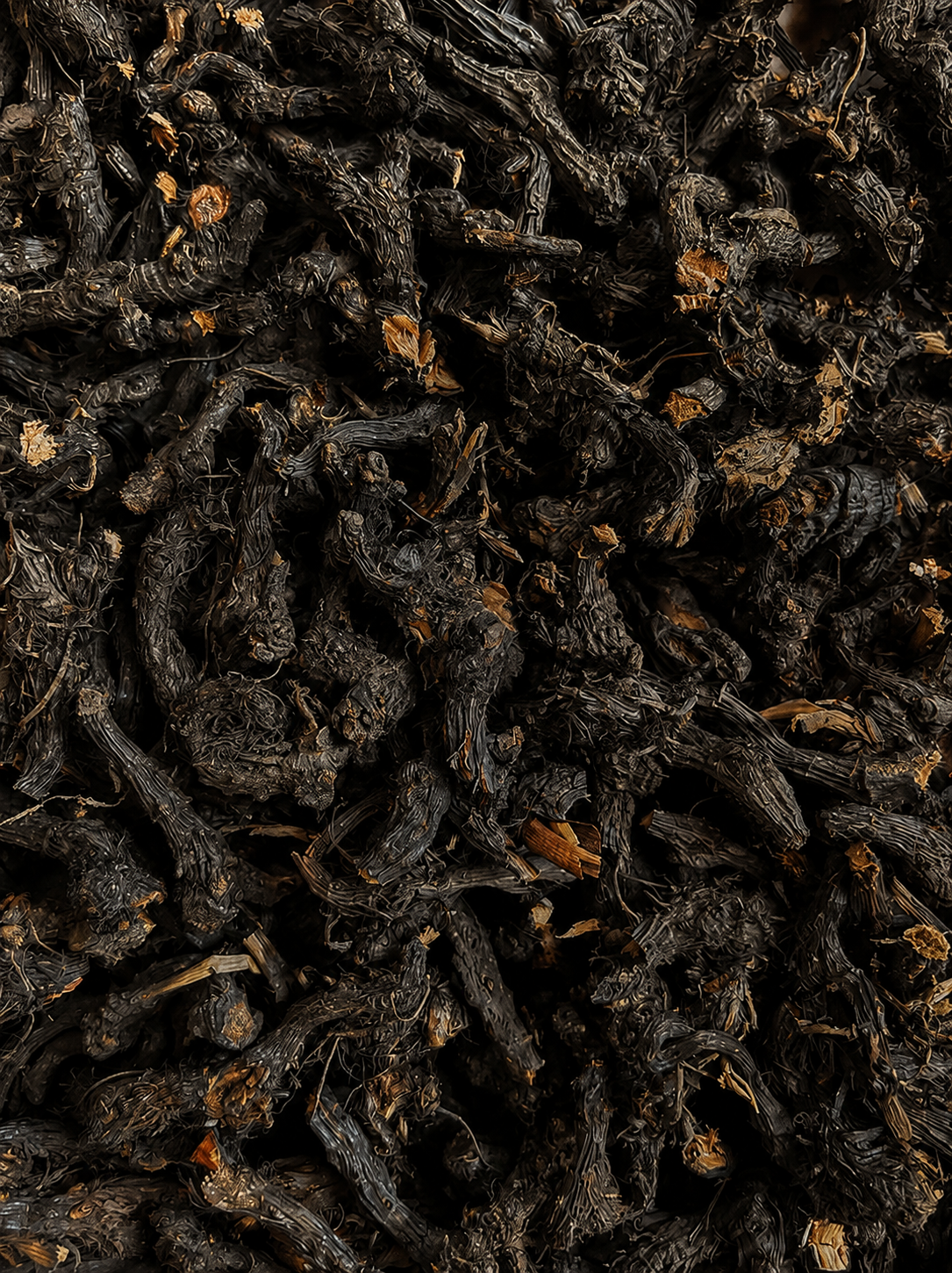 Nagarmotha / Cypriol Essential Oil - Cyprus Scariosus - India - PB-1111TK